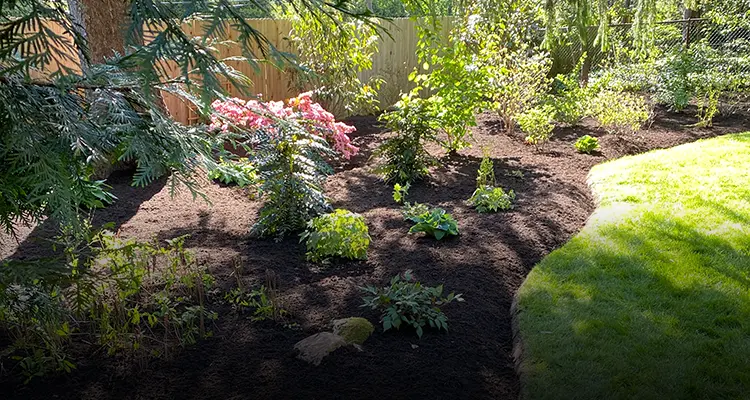 Bucket Image- Landscape Management